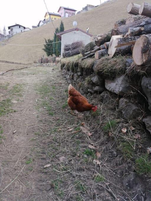 Graziosa, Casetta In Valgerola Rasura