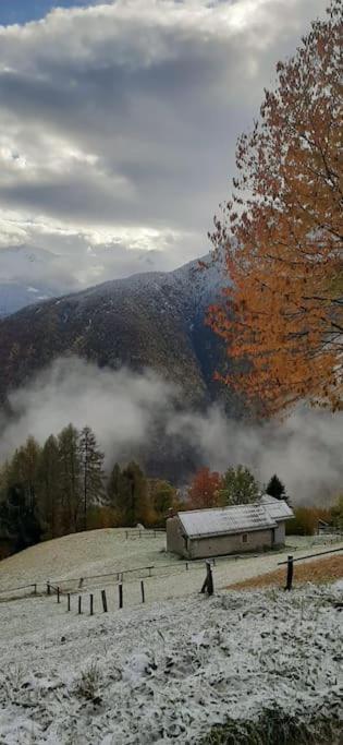 Holiday home Graziosa, Casetta In Valgerola