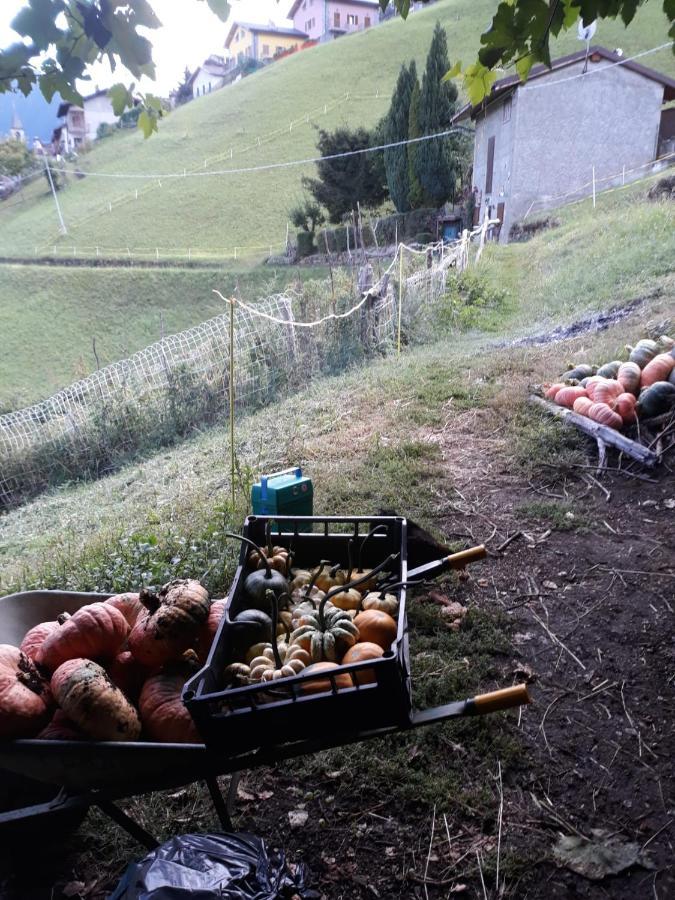 Graziosa, Casetta In Valgerola Holiday home